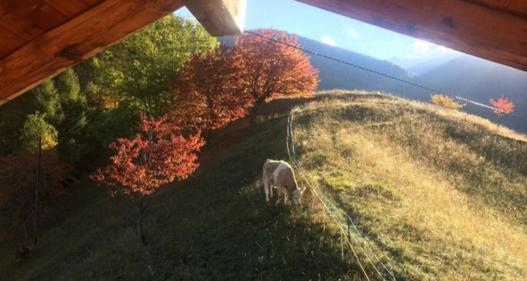 Magnifique Mayen rénové à louer pour la saison 2024-2025 au pied des 4 vallées. image 7