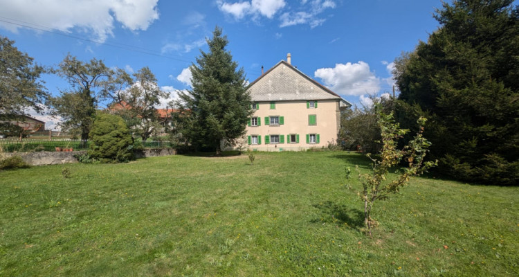 🏡 Appartement 4.5 pièces à Peney-le-Jorat  🌳 image 5