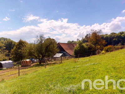 Ferme rénovée avec écurie de propriétaire image 1