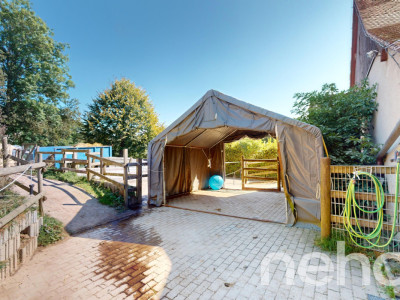 Ferme rénovée avec écurie de propriétaire image 7