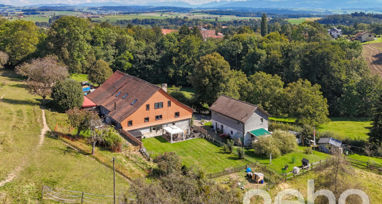 Ferme rénovée avec écurie de propriétaire image 1