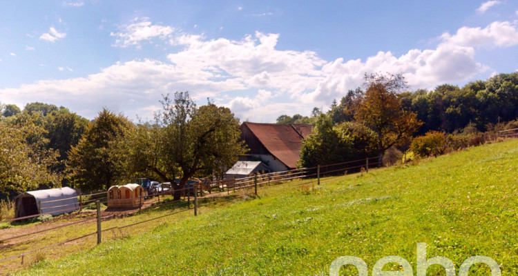 Ferme rénovée avec écurie de propriétaire image 3