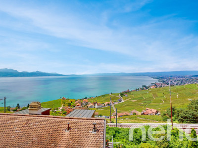 Magnifique maison avec vue panoramique sur le lac à Grandvaux image 1