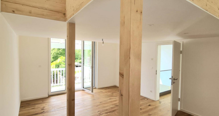 Villa neuve de 250m² utiles avec jardin à Collex-Bossy image 8