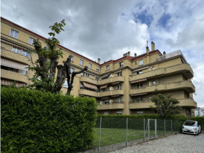 Rue du Sablon 23 à Morges / 3 pièces au rez-de-chaussée avec terrasse  image 1