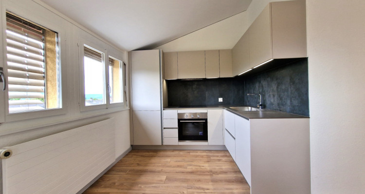 The sunny apartment and its pleasant park, Cologny  fully renovated in 2024 image 3