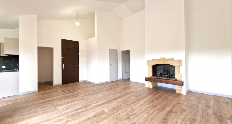 The sunny apartment and its pleasant park, Cologny  fully renovated in 2024 image 5