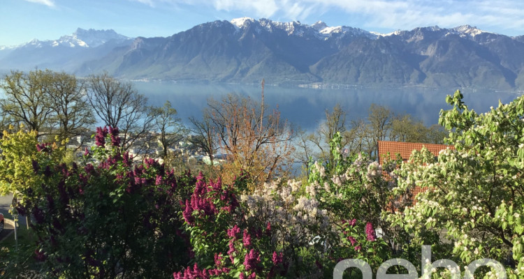 Exclusif: magnifique ferme rénovée sur le balcon du Léman image 5