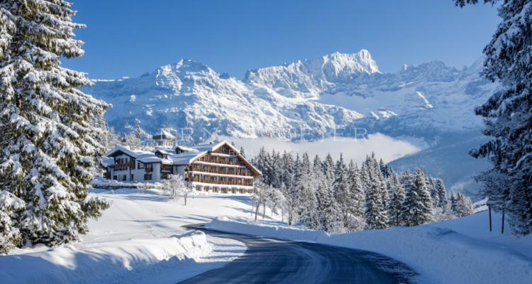 Magnificent mountain hotel in an ideal location image 1