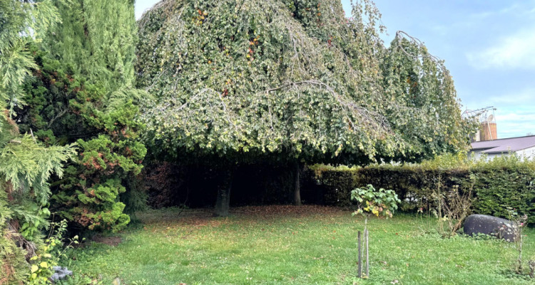 Villa individuelle de 4,5 pièces avec grand jardin arboré image 6