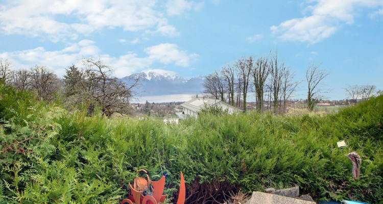 Maison individuelle avec vue Lac en viager occupé sans rente image 4