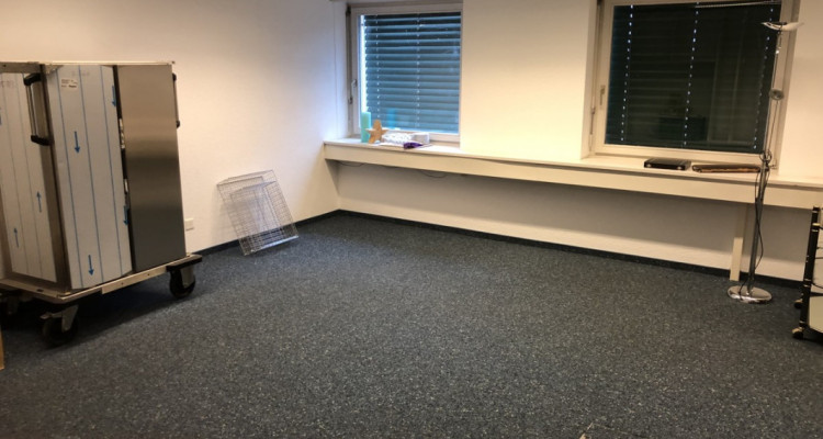 Büro- und Gewerbeflächen Lagerflächen mit/ohne Logistik direkt im Zent image 1