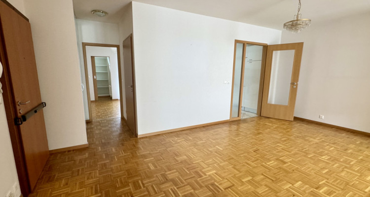 A saisir Carouge Bel appartement lumineux, spacieux et au calme image 1