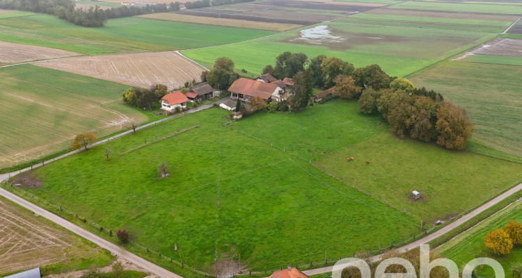 Charmante maison de campagne avec grand terrain et dépendances image 4