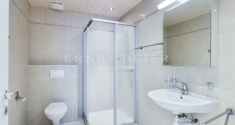 EXCLUSIVITE - Magnifique appartement 5.5 pièces, 183m2, à Lavey Village ! image 5