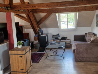 Très bel appartement au calme, proche des commerces image 1