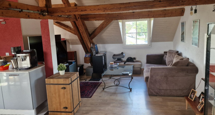 Très bel appartement au calme, proche des commerces image 1