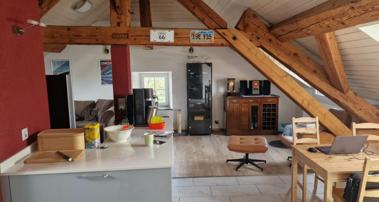 Très bel appartement au calme, proche des commerces image 3