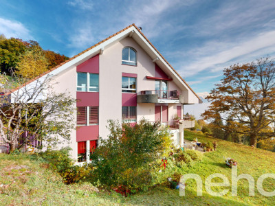 Superbe duplex en attique avec vue imprenable sur le lac et les Alpes image 1