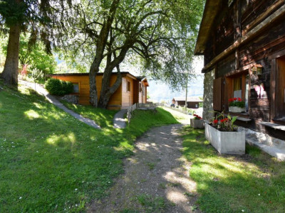 Chalet mitoyen dans un cadre champêtre à rénover image 1