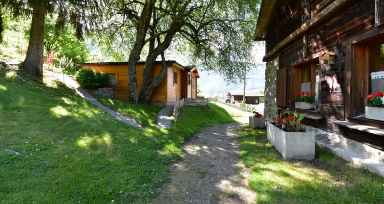 Chalet mitoyen dans un cadre champêtre à rénover image 1