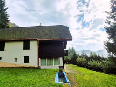 Votre havre de paix dans le Vallon-de-Villard, un potentiel infini image 1