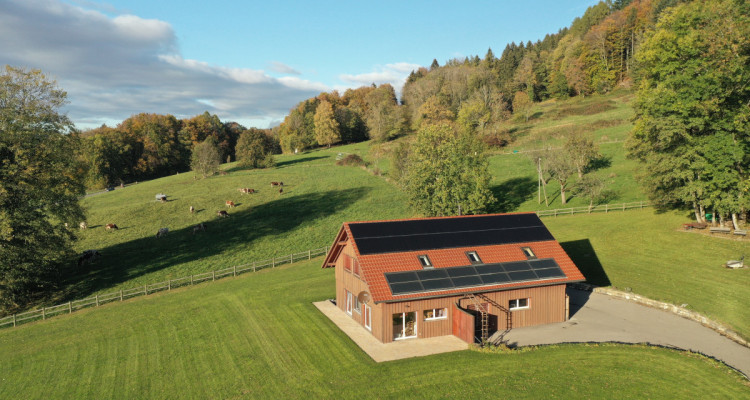 ESTATE IN ST-LÉGIER image 1