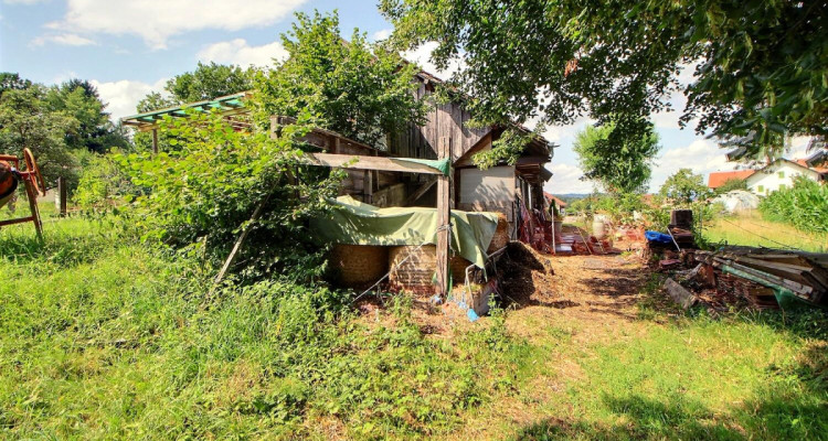 GRANDE FERME EN VIAGER SEMI-OCCUPE SANS RENTE image 5