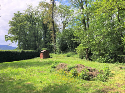 Espaces de formation, locaux commerciaux, bureaux image 3