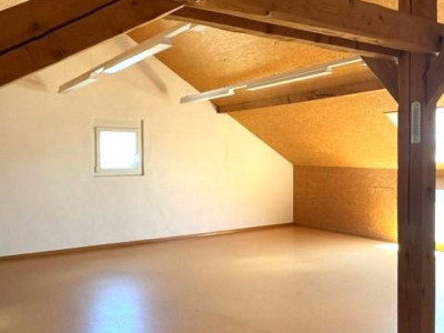 Espaces de formation, locaux commerciaux, bureaux image 10