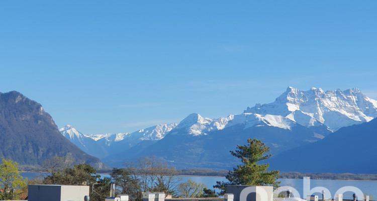 Exclusif: Appartement de 2 pièces en attique avec vue sur le Léman image 1