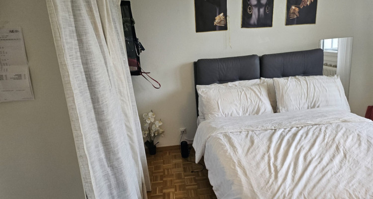 Appartement de 4 pièces au 5ème étage localiser à Genève 1202 image 3