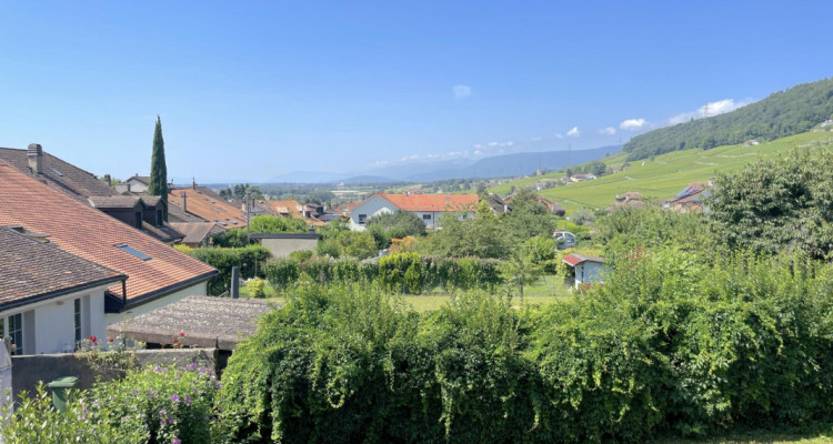 Maison de Vigneron au Coeur de Bursins - Charme et Potentiel Unique image 1