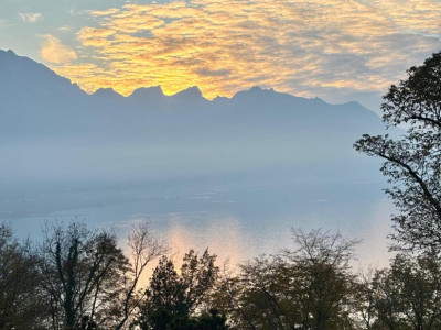 Maison avec vue imprenable sur le Lac Léman en viager occupé sans rente limité à 10 ans image 1