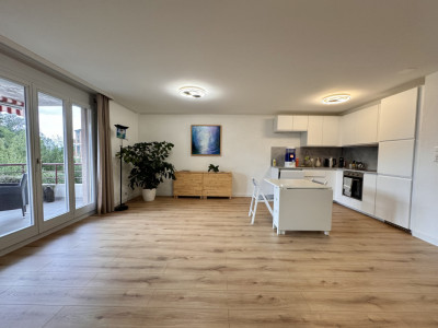 Bel appartement entièrement rénové avec vue dégagée  image 1