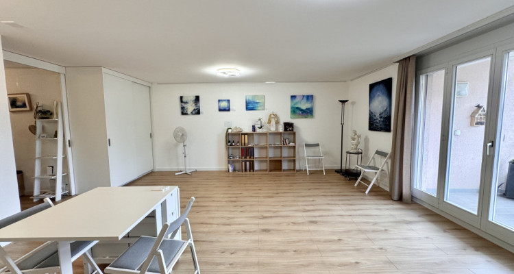 Bel appartement entièrement rénové avec vue dégagée  image 2