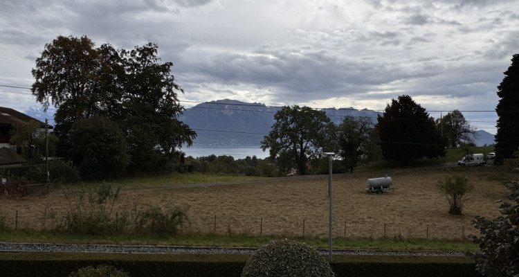 Bel appartement entièrement rénové avec vue dégagée  image 11