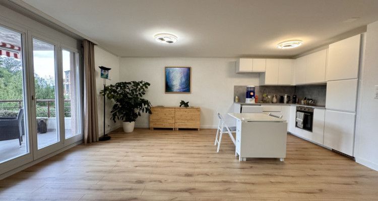 Bel appartement entièrement rénové avec vue dégagée  image 1