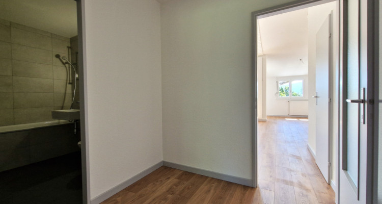 Sunny apartment, entirely renovated in 2024, Cologny image 8