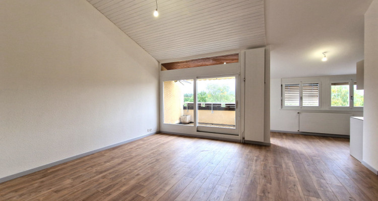 Sunny apartment, entirely renovated in 2024, Cologny image 3