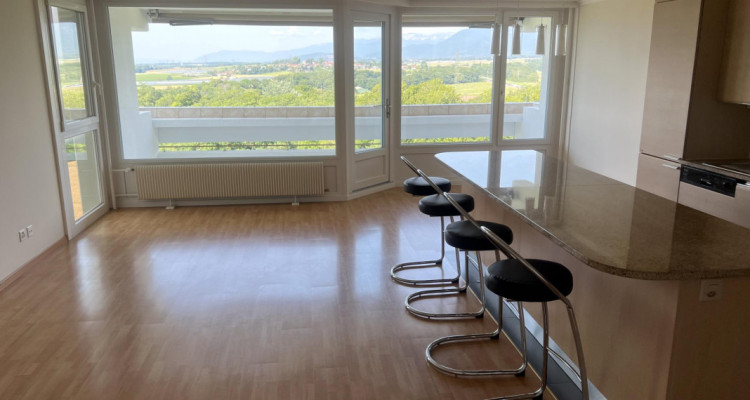 Appartement de 4.5 pièces avec balcon, vue imprenable sur le lac et les montagnes image 4