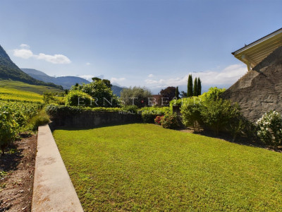 Vue dégagée et emplacement calme - Belle maison vigneronne à rénover image 1