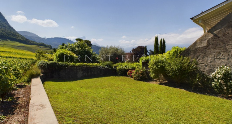 Vue dégagée et emplacement calme - Belle maison vigneronne à rénover image 1