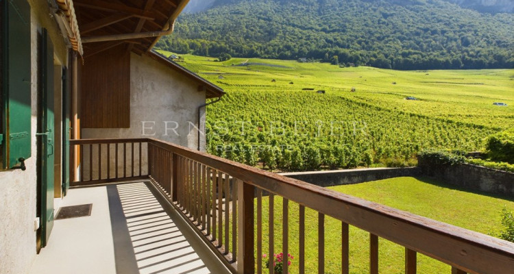 Vue dégagée et emplacement calme - Belle maison vigneronne à rénover image 2