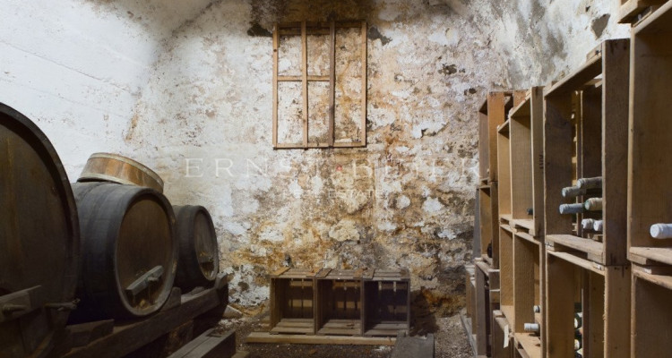 Vue dégagée et emplacement calme - Belle maison vigneronne à rénover image 9