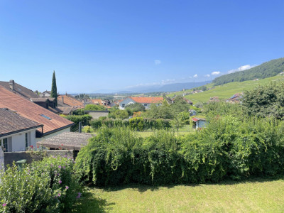 Maison de Vigneron au Coeur de Bursins - Charme et Potentiel Unique image 1