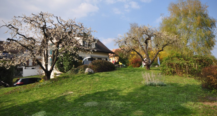 Chambre spacieuse à louer dans belle villa au cœur de Gland image 9