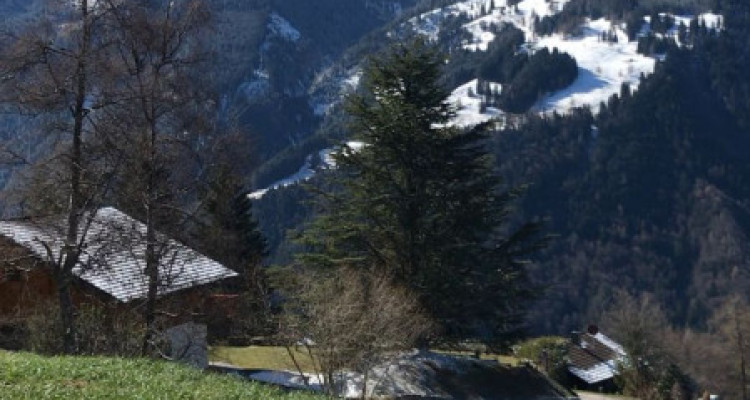 Dans chalet Appart. dangle cosy,  vue dominante sur les dents du midi. image 14