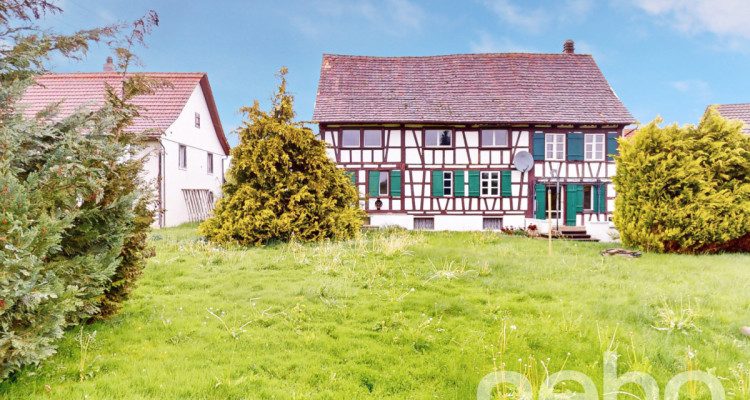 Einfamilienhaus mit grossem Grundstück und viel Potential image 4