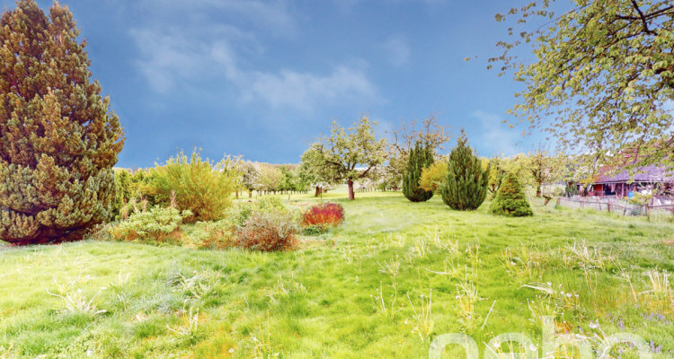 Einfamilienhaus mit grossem Grundstück und viel Potential image 5